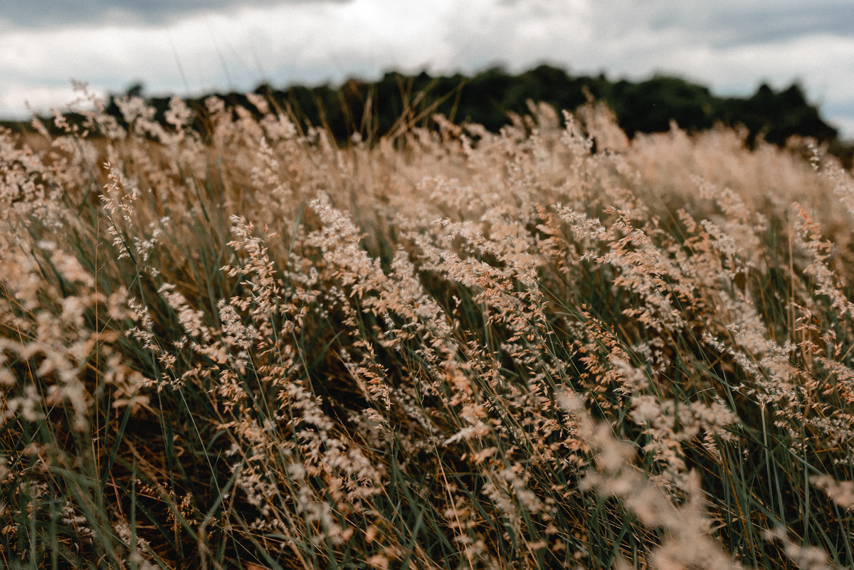 DECORAÇÃO PARA CASAMENTO AO AR LIVRE
CASAMENTO NO CAMPO
MINI WEDDING
casamento civil, mini wedding, casamento intimista, casamento civil com recepção, fotografo de casamento em bauru-SP, fotografia de casamento ao ar livre