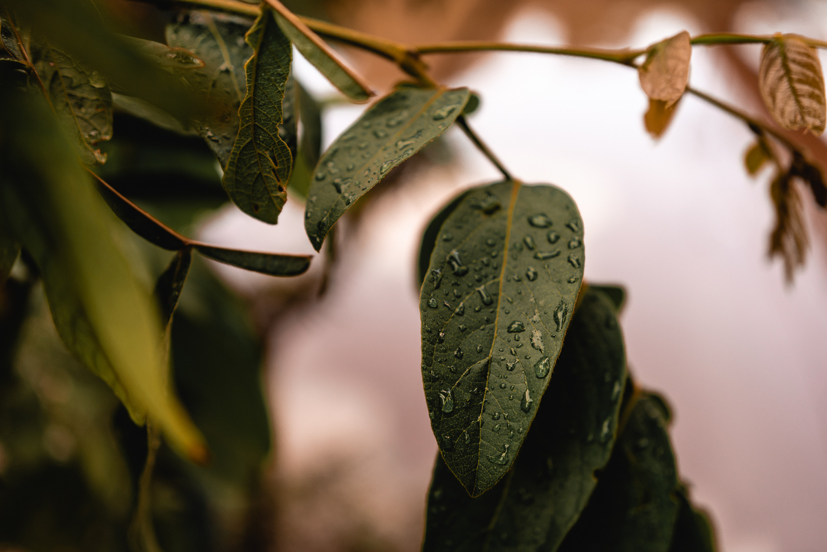 ENSAIO 15 ANOS EM BROTAS-SP | ENSAIO 15 ANOS BROTAS-SP |  ENSAIO DE 15 ANOS BROTAS-SP | ENSAIO DE 15 ANOS | 

FOTOS 15 ANOS NO POR DO SOL | FOTOGRAFO DE CASAMENTO BAURU-SP | FOTOGRAFO EM BAURU-SP | BROTAS-SP

ENSAIO NA CACHOEIRA| POUSADA MIRAGUA REFUGIOS 