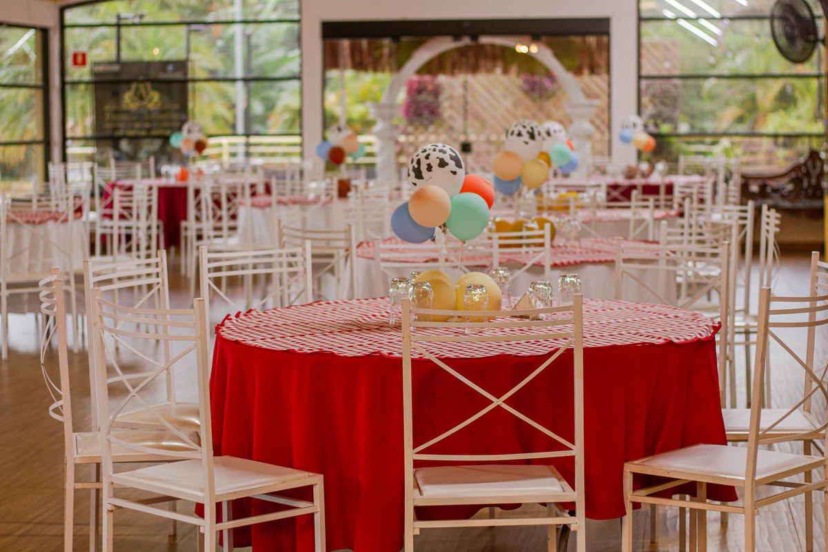 Fotografia aniversario-infantil