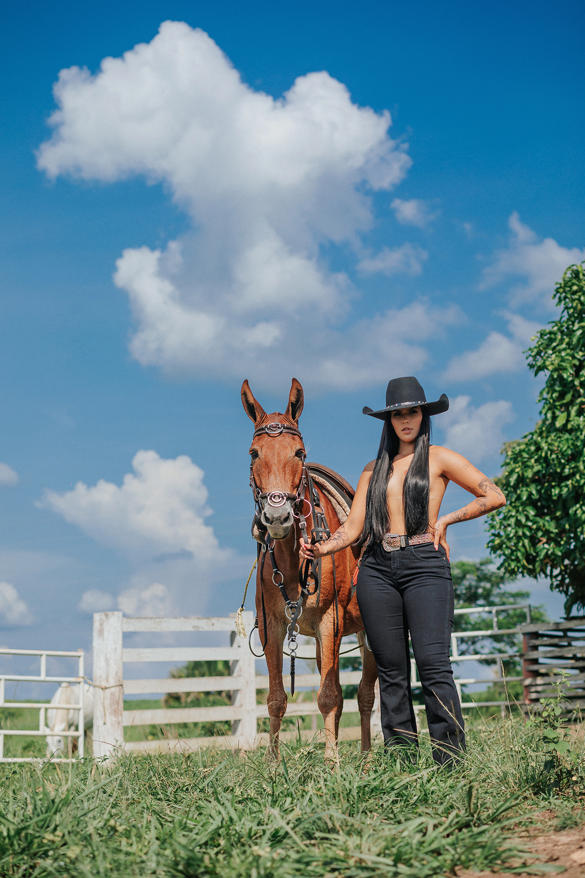 ensaio, flaviomarques, fotografo, Xinguara, Ourilândia, ensaio, sensual, mulher, mula, country, cavalo, mla, fazenda, mulher, maquiagem, blogueira, fotografo, fláviio, marques, fotografo flávio, fotos, estudio, luz, fotos, country, fotos com cavalos