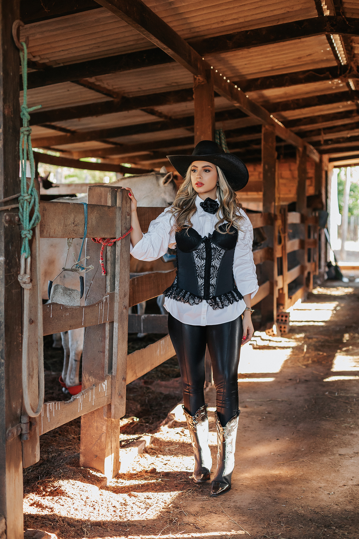 daniela, braz, ensaio, feminino, tucumã, cavalo, preto, mulher, sensual, make, cabelo, chapéu, cavalos, fazenda, flavio, marques, fotografo, mulheres, feminino, moda,