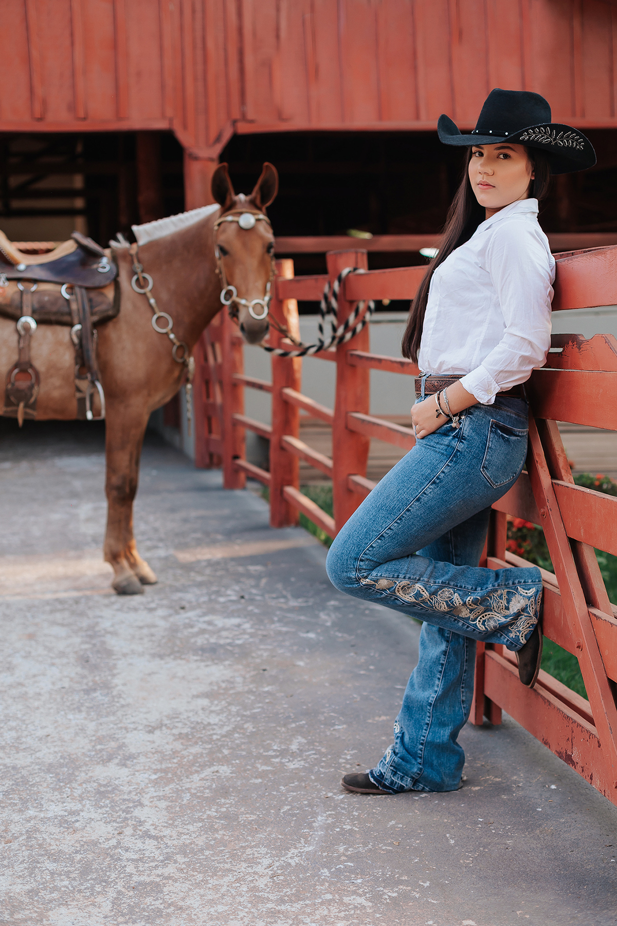 ensaio, 15 anos, cowntry, xinguara, malu couto, xinguara, feminino, cavalos, mula, mlher, cowntry, fotos, flaivomarquesfotografias