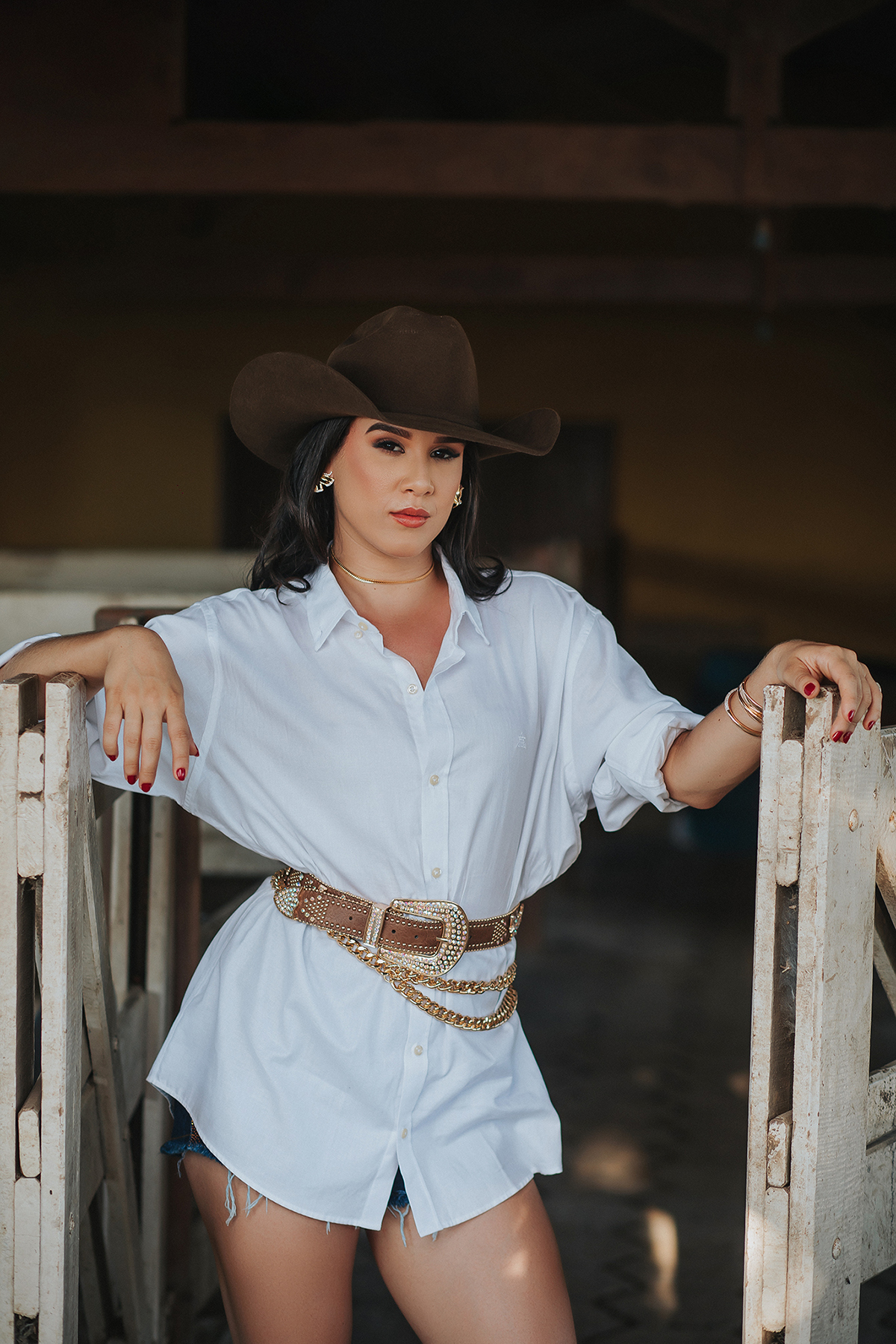 alline, teixeira, ensaio, fotográfico, xinguara, flaviomarques, fotografias, sensual, country, mulher, sexy, cavalos, fim do dia, por do sol, sol, verão, rainha, fax, 2024