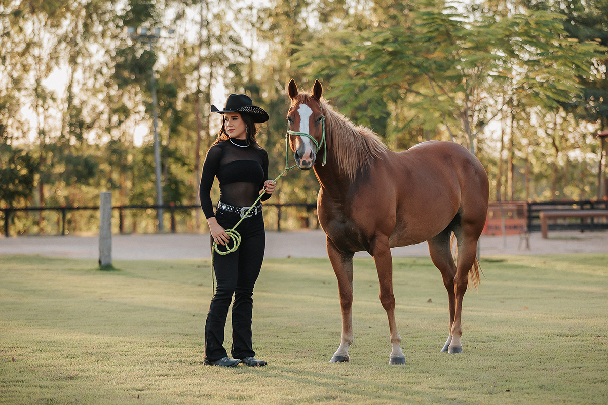 alline, teixeira, ensaio, fotográfico, xinguara, flaviomarques, fotografias, sensual, country, mulher, sexy, cavalos, fim do dia, por do sol, sol, verão, rainha, fax, 2024
