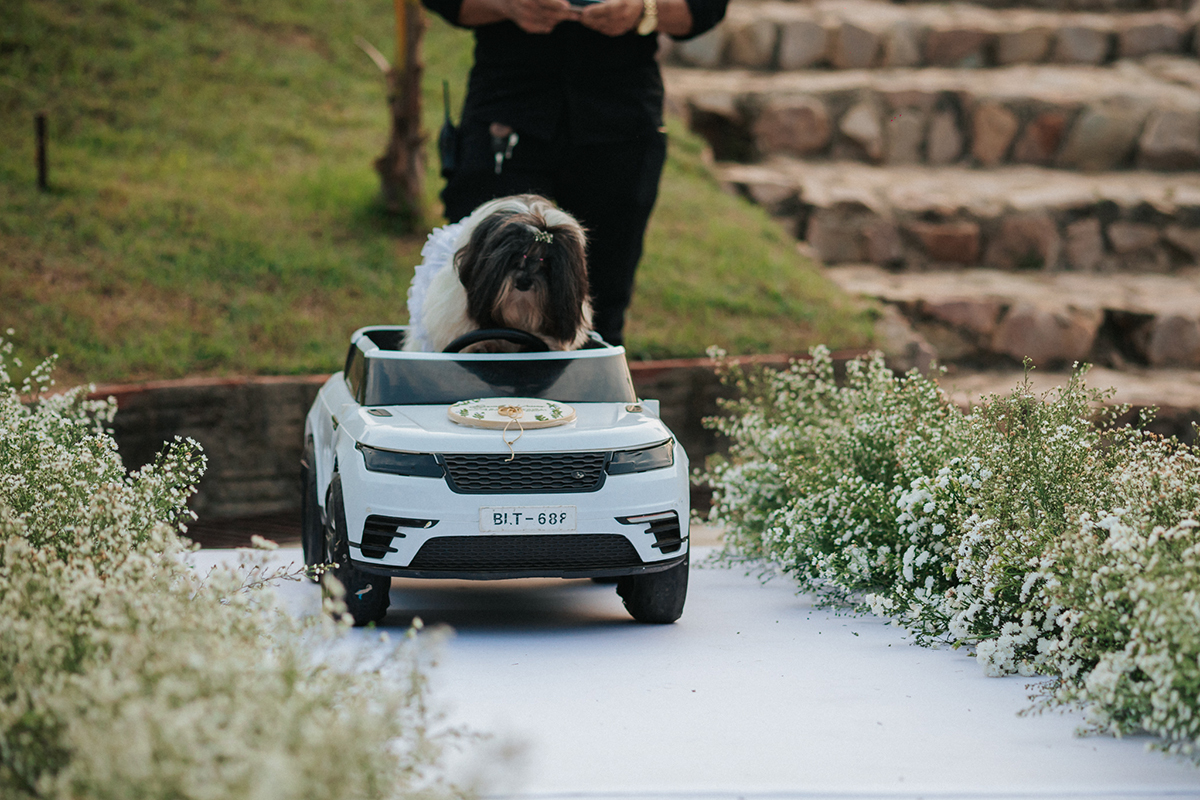 daniela, braz, casamento, vinicius, noiva, cabelo, penteado, maquiagem, fotos, wedding, casamento, flavio, marques, fotografias, flaviomarques, fotografo, casamento, pará, xinguara, tucumã, instagram, fotos, flaviomarquesfotografias