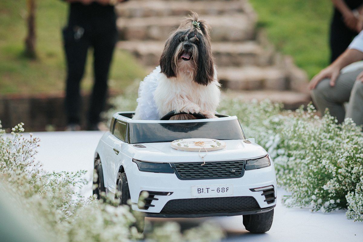 daniela, braz, casamento, vinicius, noiva, cabelo, penteado, maquiagem, fotos, wedding, casamento, flavio, marques, fotografias, flaviomarques, fotografo, casamento, pará, xinguara, tucumã, instagram, fotos, flaviomarquesfotografias