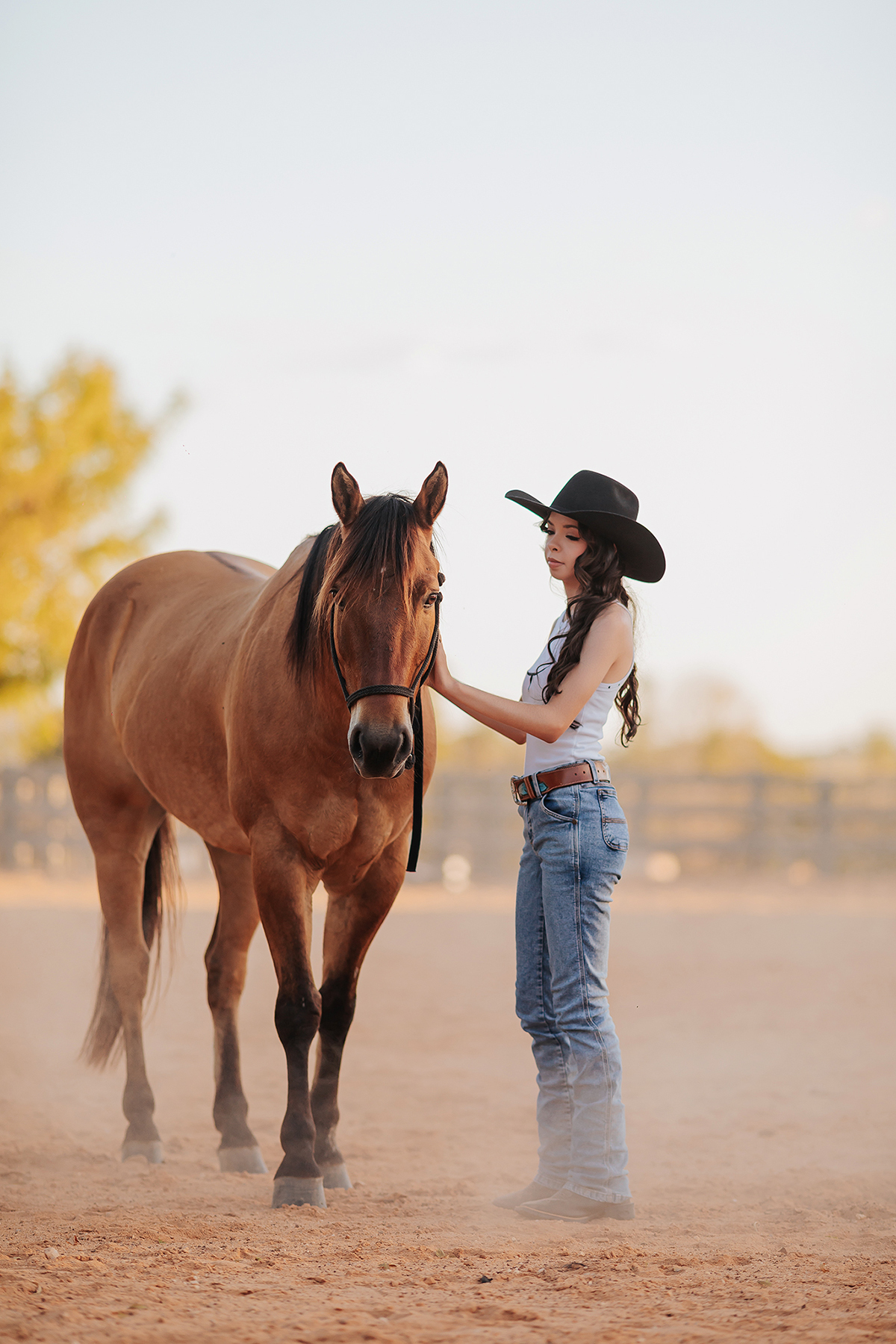 15 anos, ensaio, debutante, feminino, aniversário, fotografias, country, cavalos, vestido, debutante, fotos, ensaio, aniversário, shadydoc, rancho, ranch, xinguara, fotografo, xinguara, pará, flaviomarquesfotografias