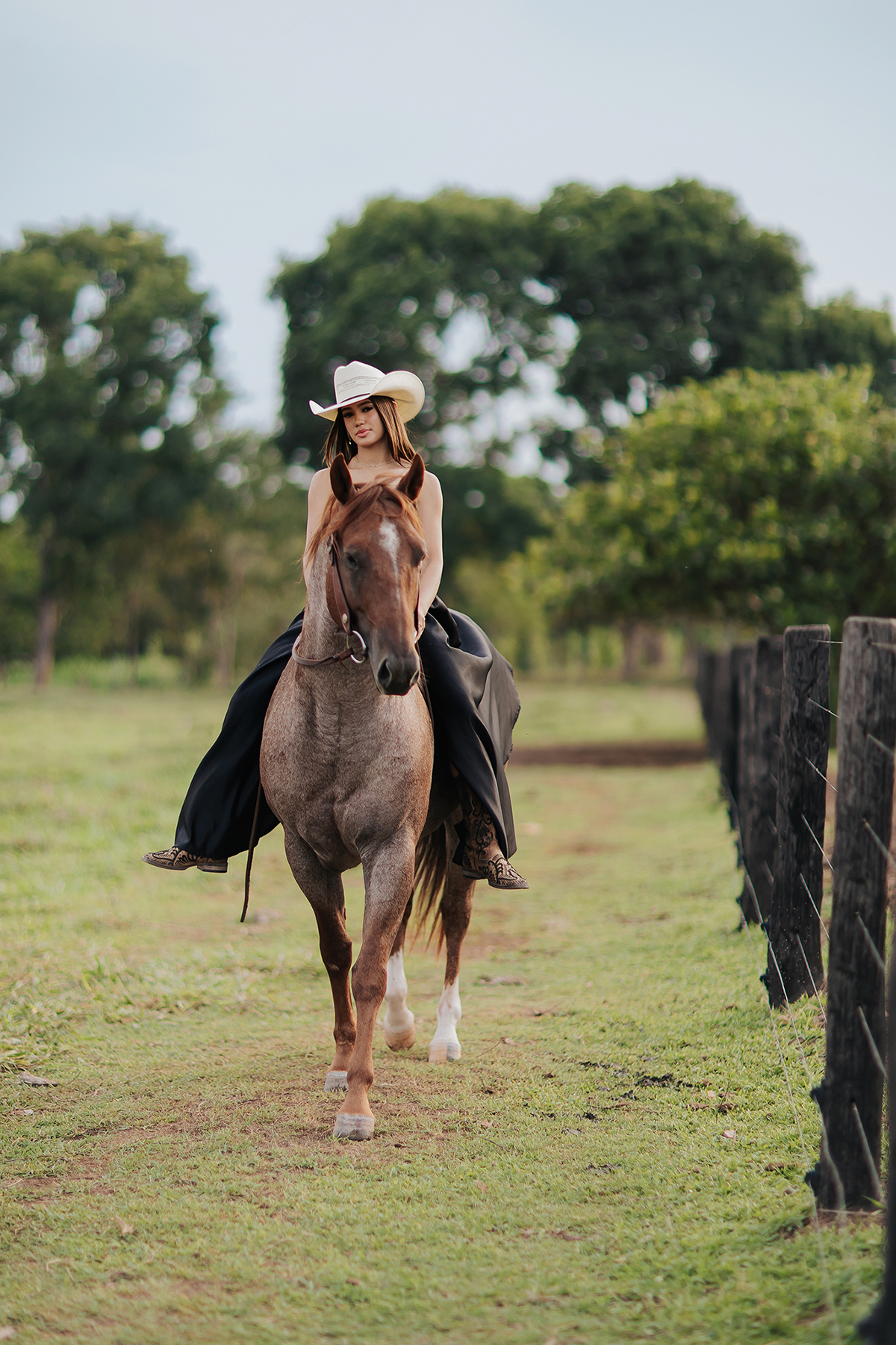 15 anos, debutante, ensaio, fazenda, country, cavalo, verde, mulher, amazona, aniversário 15 anos, fotos externas, fazenda, ranch shorting, hipismo, cavalo, flaviomarquesfotografias