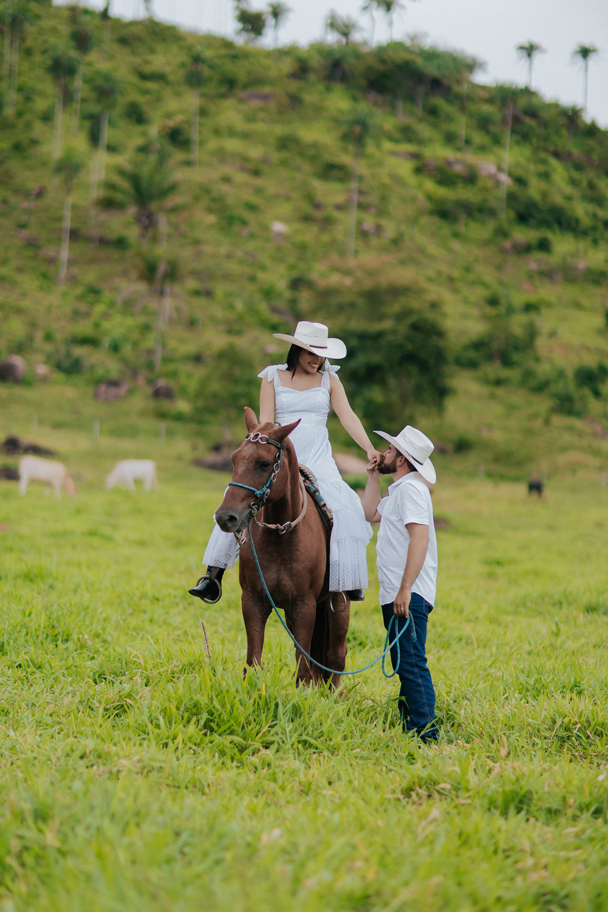 allerrandra, marcos, ensaio, casal, fotos, noivos, pré-casamento, fazenda, cowntry, country, farm, fazenda, vestido branco, gado, nelore, fotos, sorriso