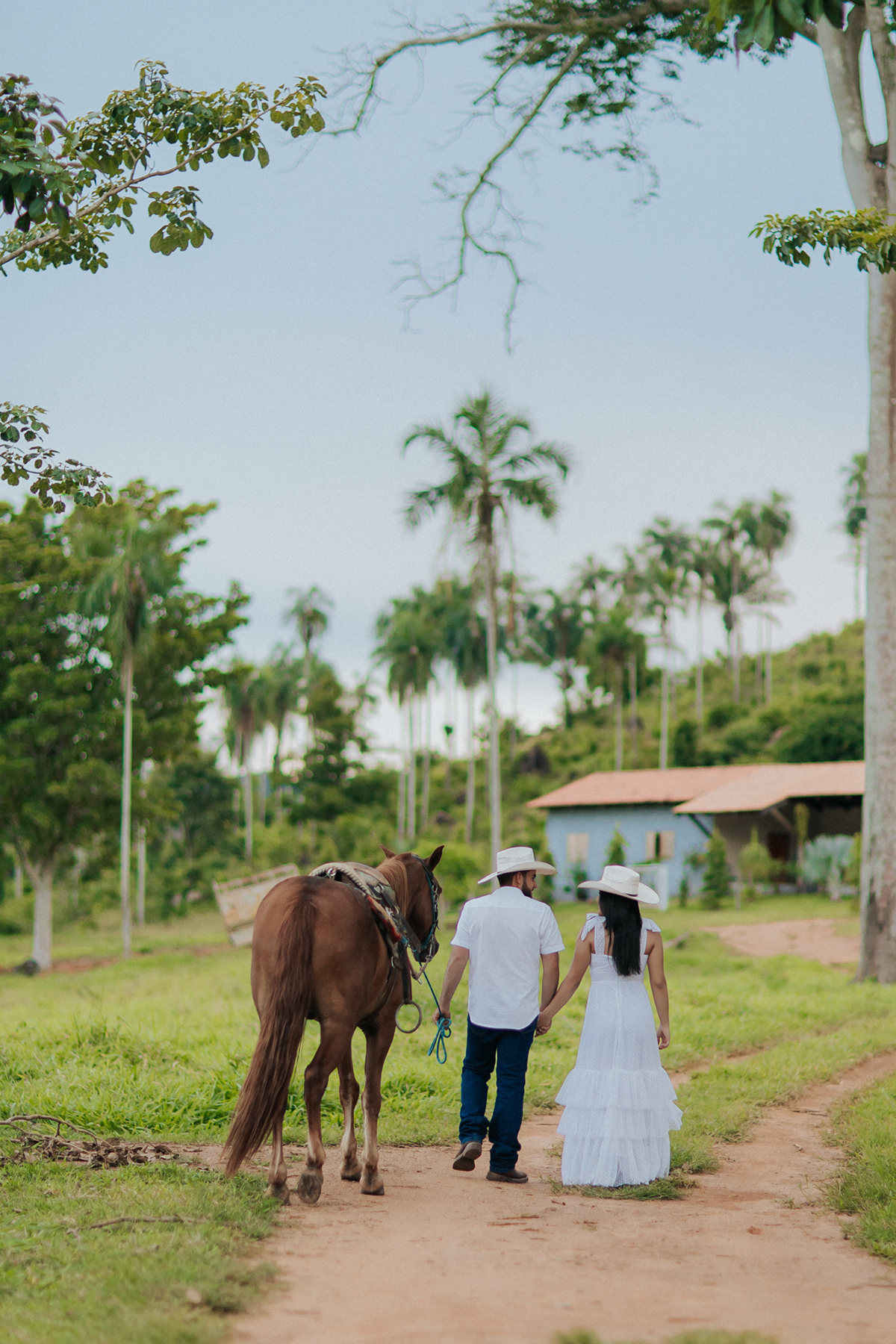 allerrandra, marcos, ensaio, casal, fotos, noivos, pré-casamento, fazenda, cowntry, country, farm, fazenda, vestido branco, gado, nelore, fotos, sorriso