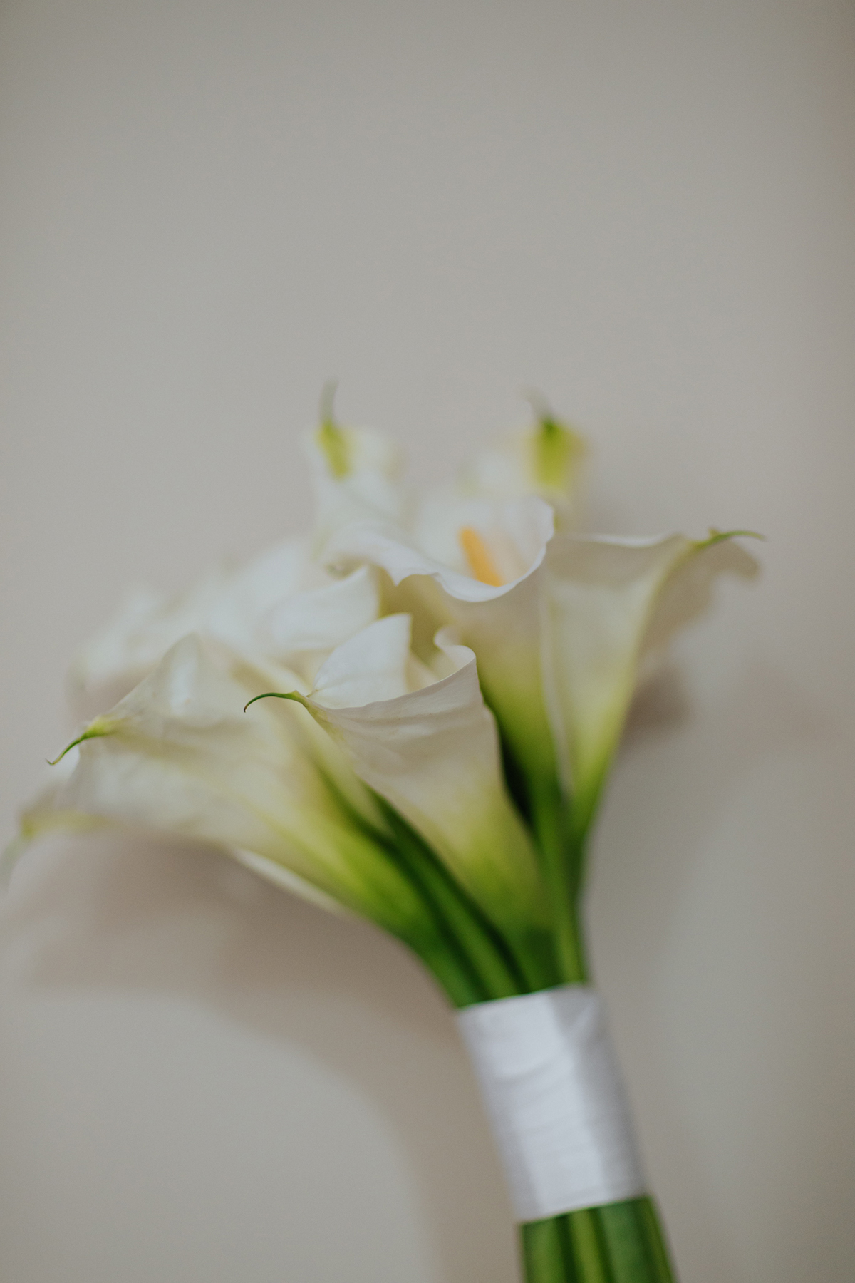 casamento, rio Maria, Xinguara, noiva, nathalia, muniz, fotos, noivos, making off noiva, noiva cabelo, cabelo noiva, ensaio feminino, fotos criativas, fotos noivas, cabelo, wedding, xinguara, casamento pará, casamento ao ar livre, festa casamento, noivos