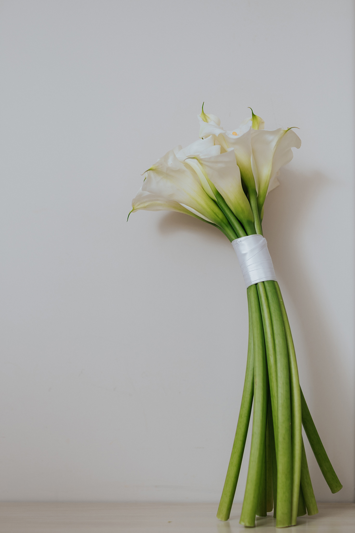 casamento, rio Maria, Xinguara, noiva, nathalia, muniz, fotos, noivos, making off noiva, noiva cabelo, cabelo noiva, ensaio feminino, fotos criativas, fotos noivas, cabelo, wedding, xinguara, casamento pará, casamento ao ar livre, festa casamento, noivos