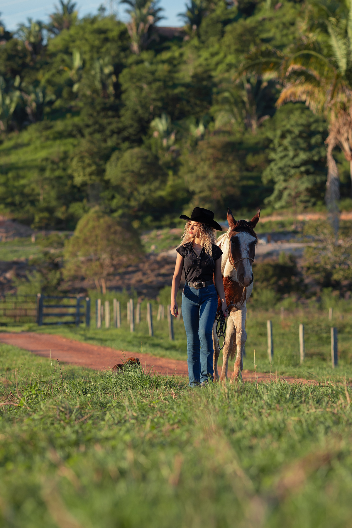 Anna Costa, ensaio feminino, xinguara, fotos em xinguara, ensaio fotografico, ensaio de fotos, fotos ideias, ideias de fotos, ideias fotos fazenda, fotos na fazenda, country, sessão fotográfica, ensaio country, fazenda, por do sol, xinguara