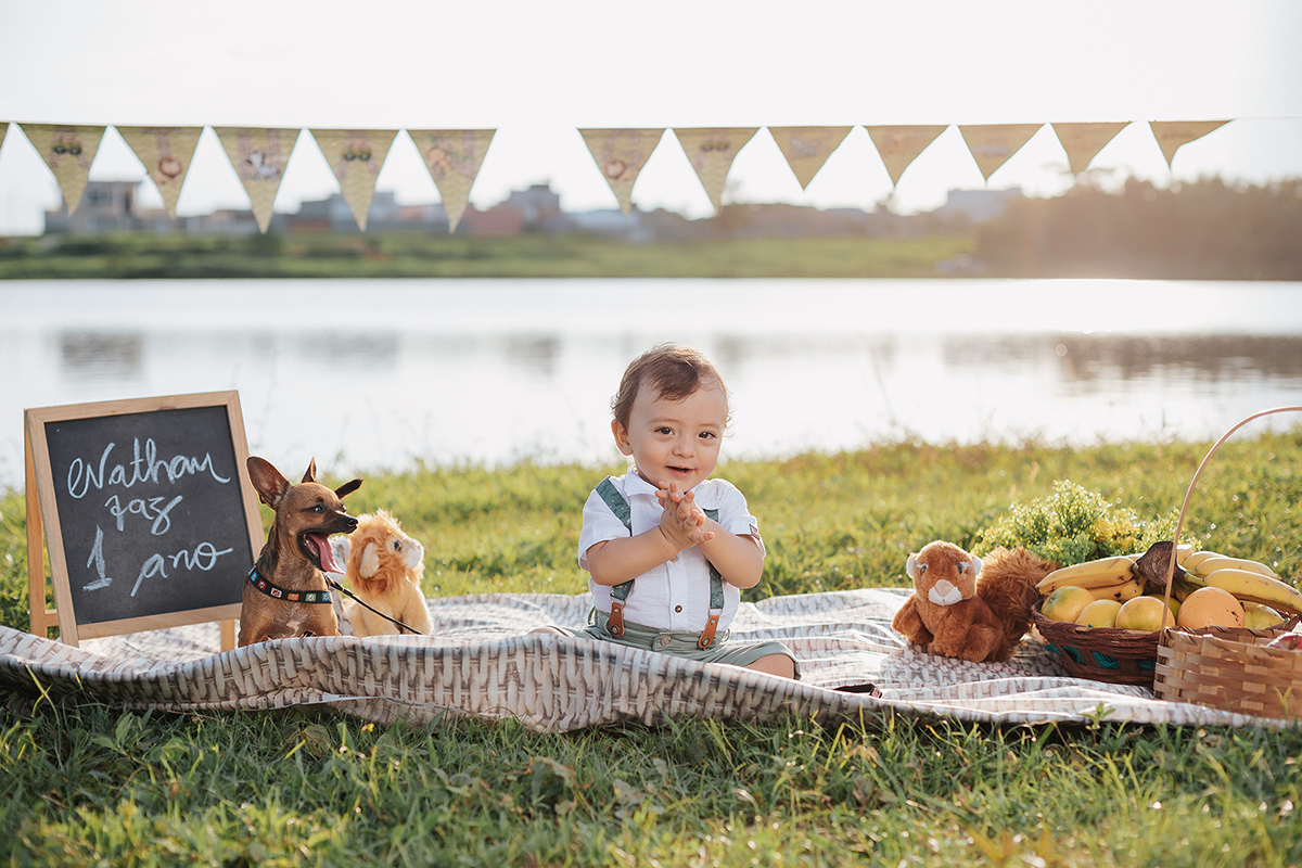 nathan, fotos, aniversário, xinguara, flaviomarques, fotografo, ensaio, infantil, 1 aninho, aniversário, fotos, criativas, xinguara, flaivomarquesfotografias, fotos, crianças, familia, gestante, grávida, casal, noivos, noiva, vestido