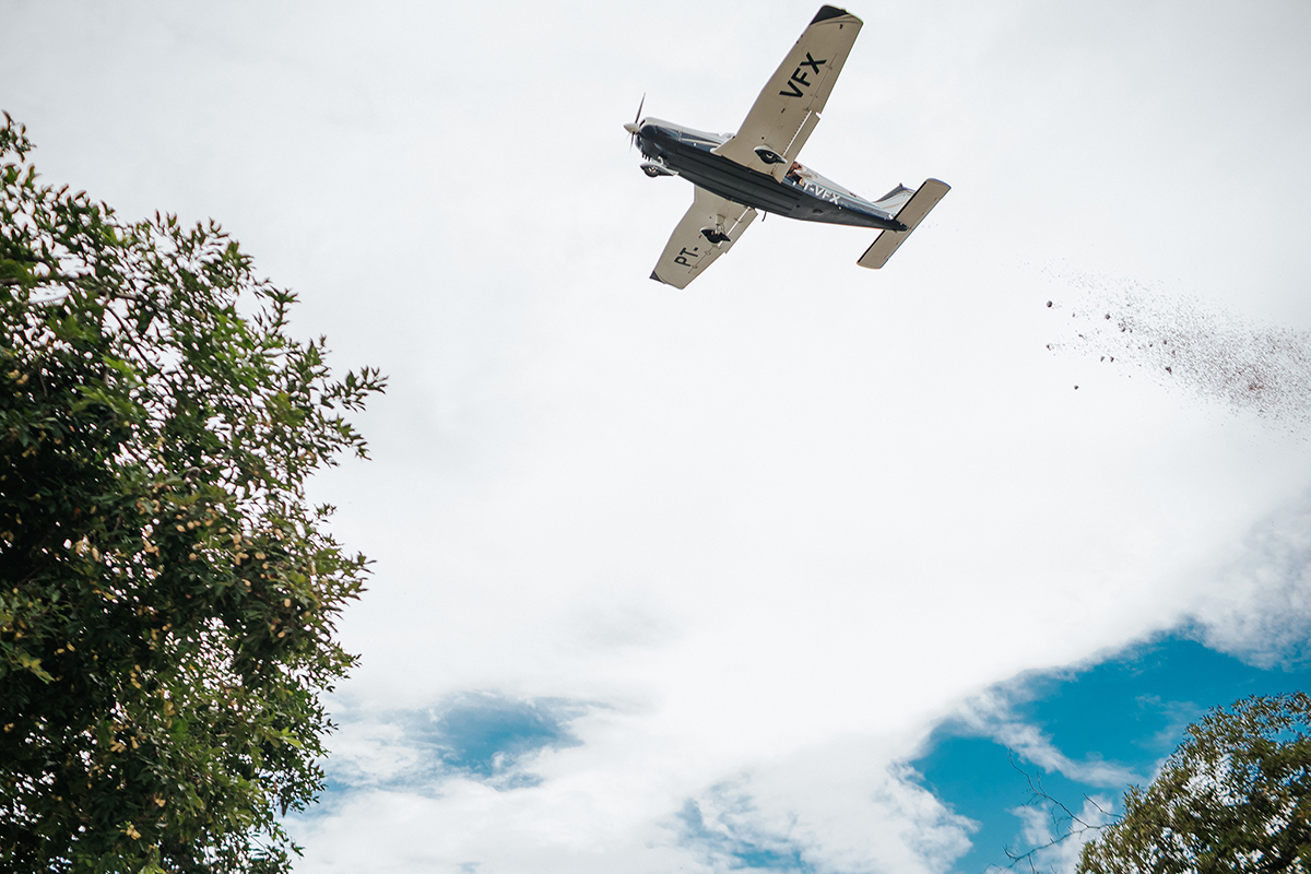 chá revelação, flaviomarquesfotografias, xinguara, são félix, xingu, fotos, familia, ensaio, feminino, fotos, gestante, grávida, gestação, menina, revelação, fotos, criativas, flavio, fotografias, insta, inspiração, flaviomarques