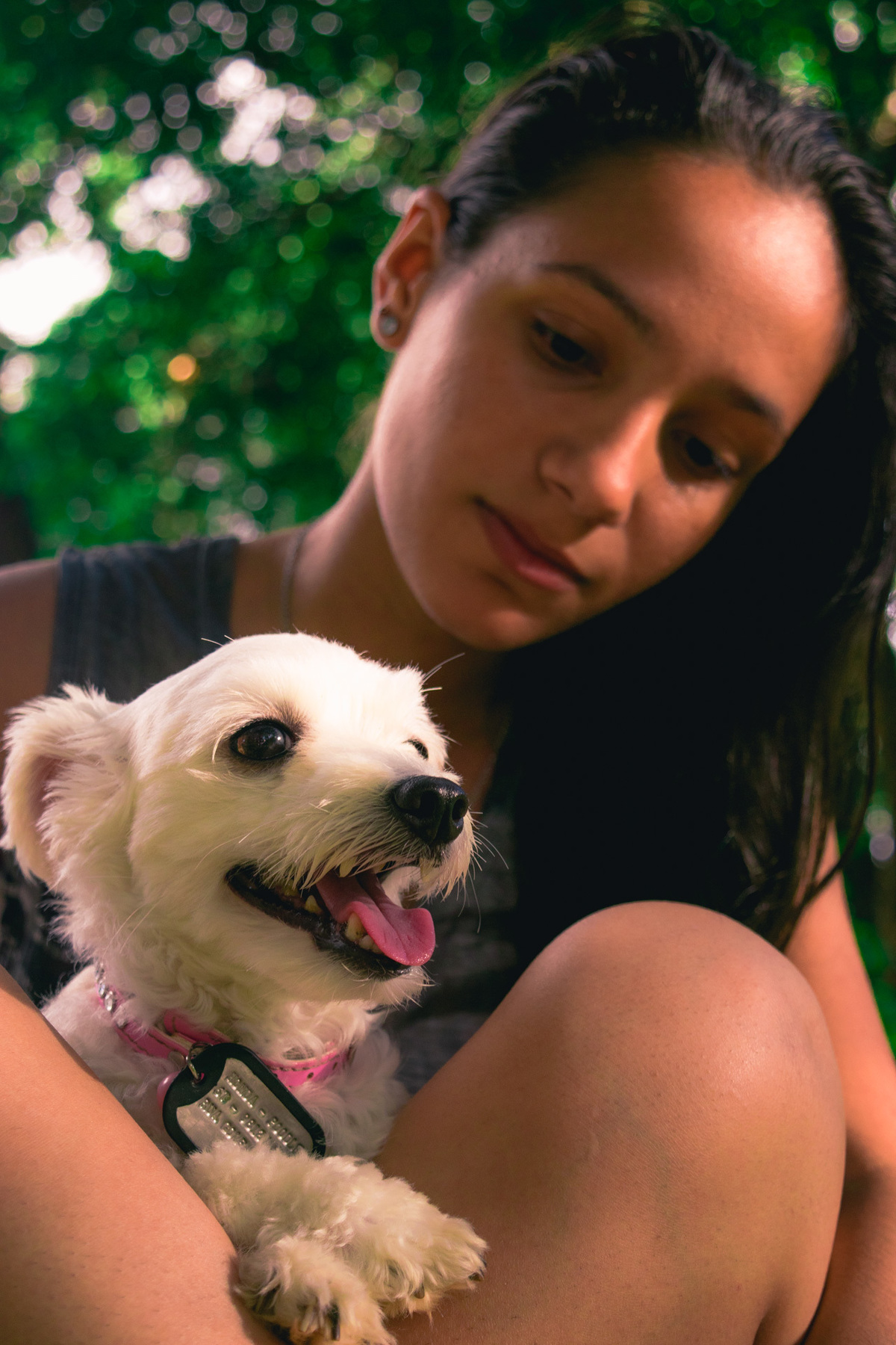 Ensaio Pet da Honda - Henrique Drobnievski