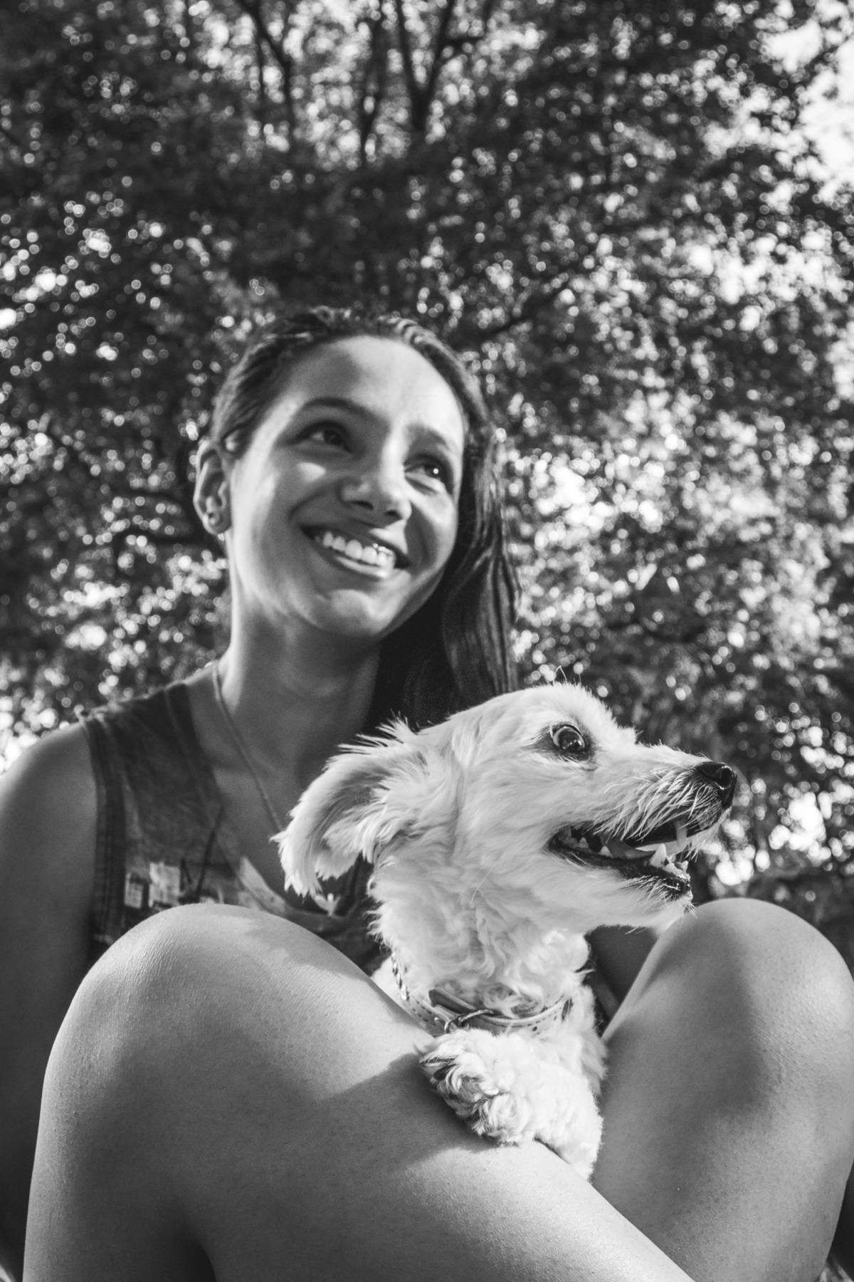 Ensaio Pet da Honda - Henrique Drobnievski