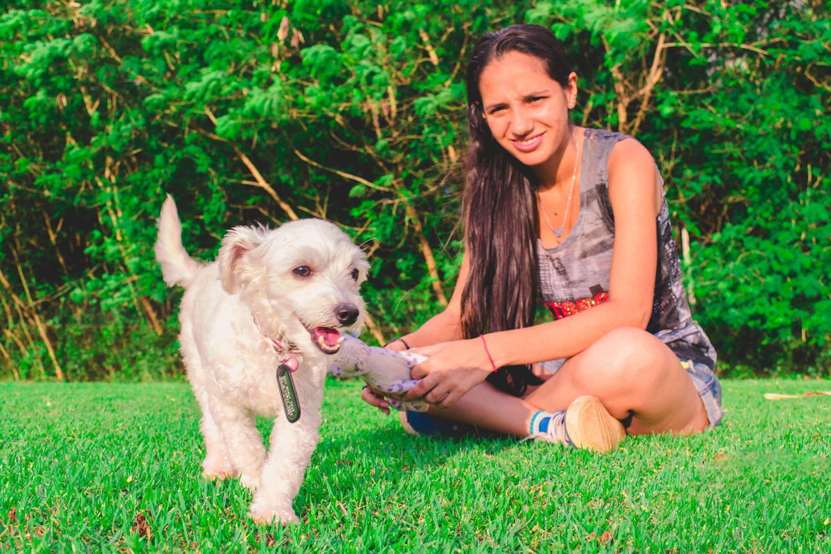 Ensaio Pet da Honda - Henrique Drobnievski