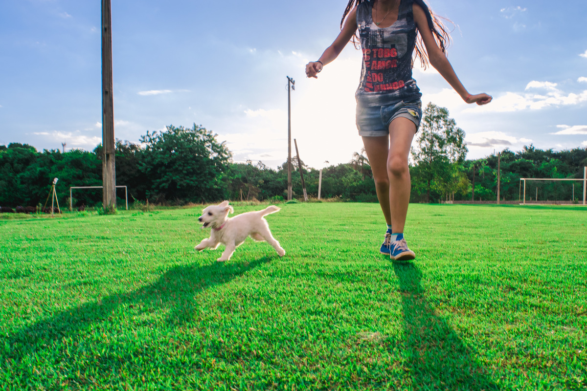 Ensaio Pet da Honda - Henrique Drobnievski