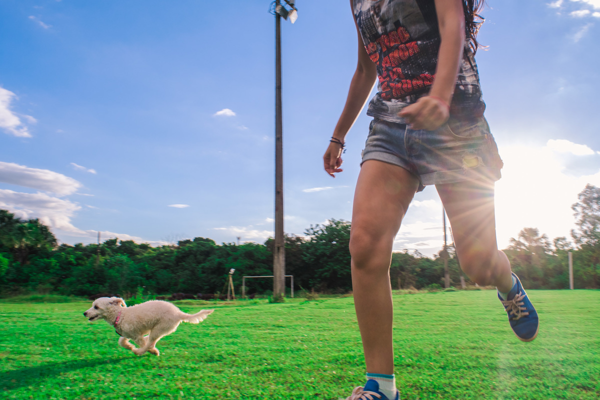 Ensaio Pet da Honda - Henrique Drobnievski