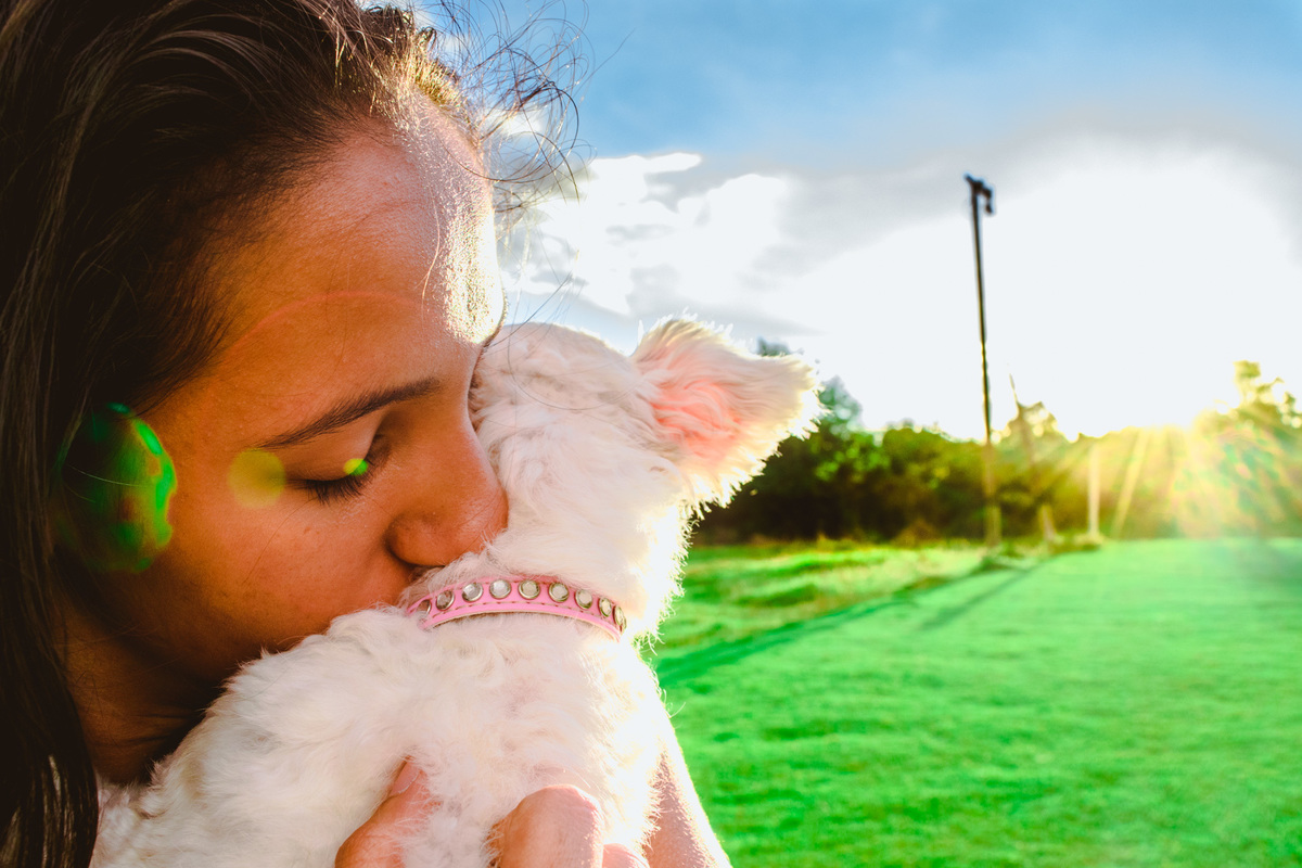 Ensaio Pet da Honda - Henrique Drobnievski