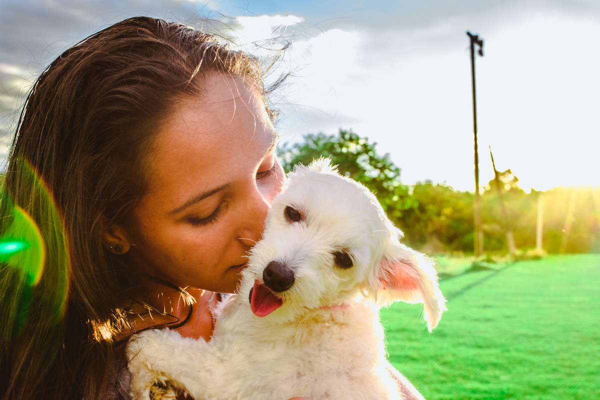 Ensaio Pet da Honda - Henrique Drobnievski