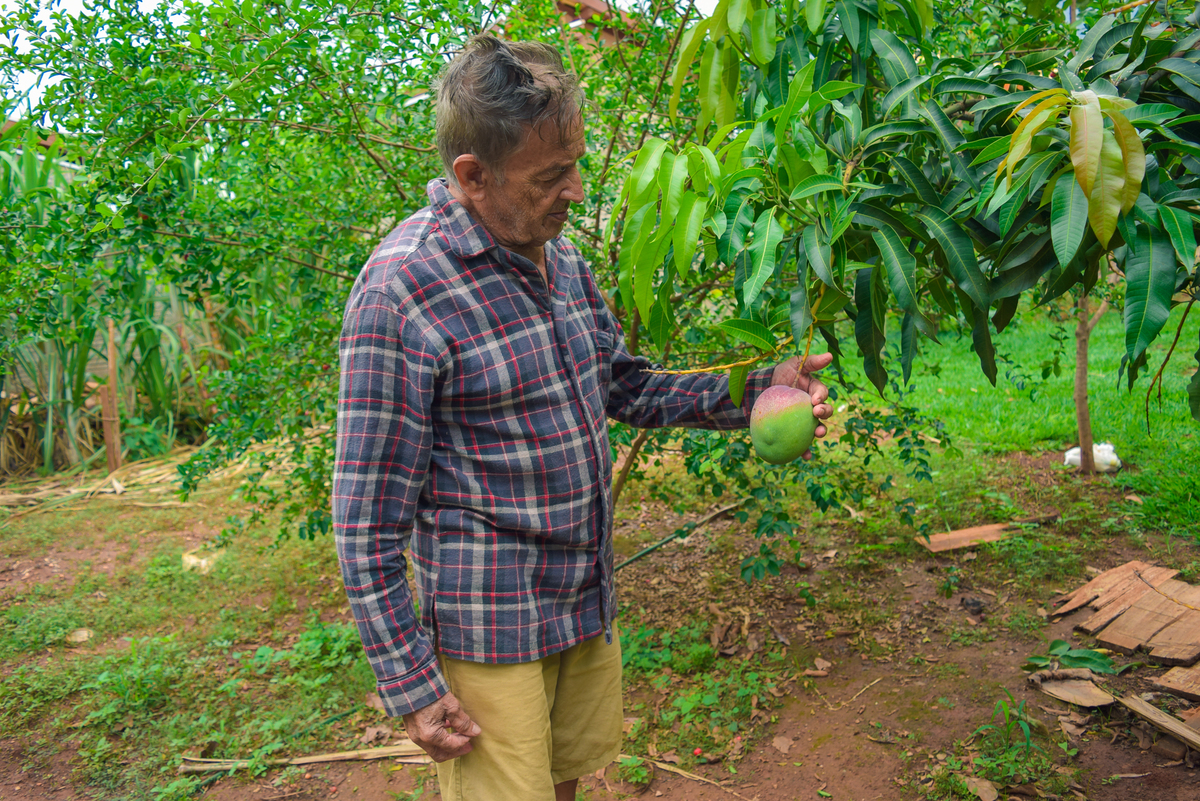 Meu Vozão João Marculino - Henrique Drobnievski