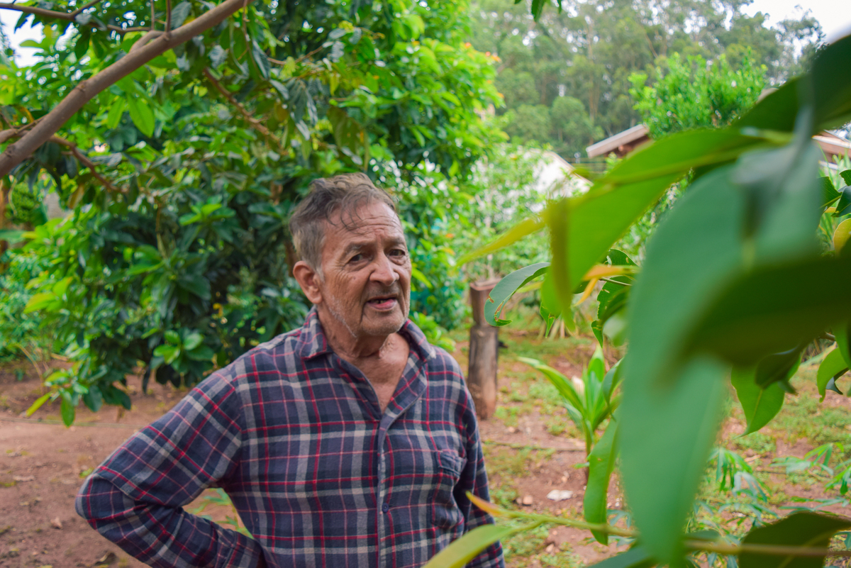Meu Vozão João Marculino - Henrique Drobnievski