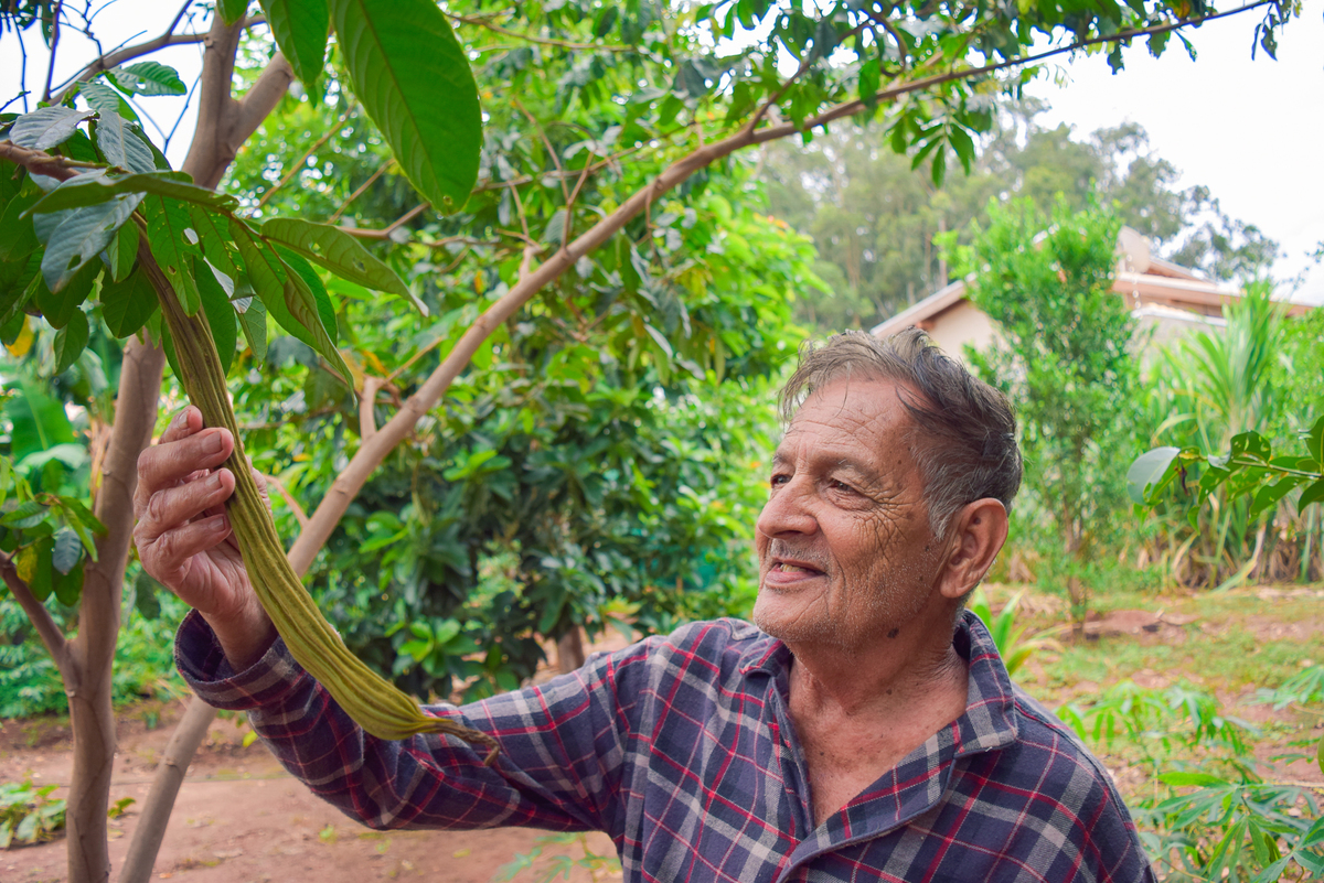 Meu Vozão João Marculino - Henrique Drobnievski