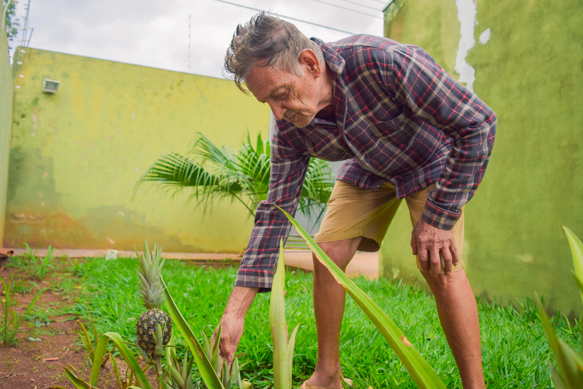 Meu Vozão João Marculino - Henrique Drobnievski