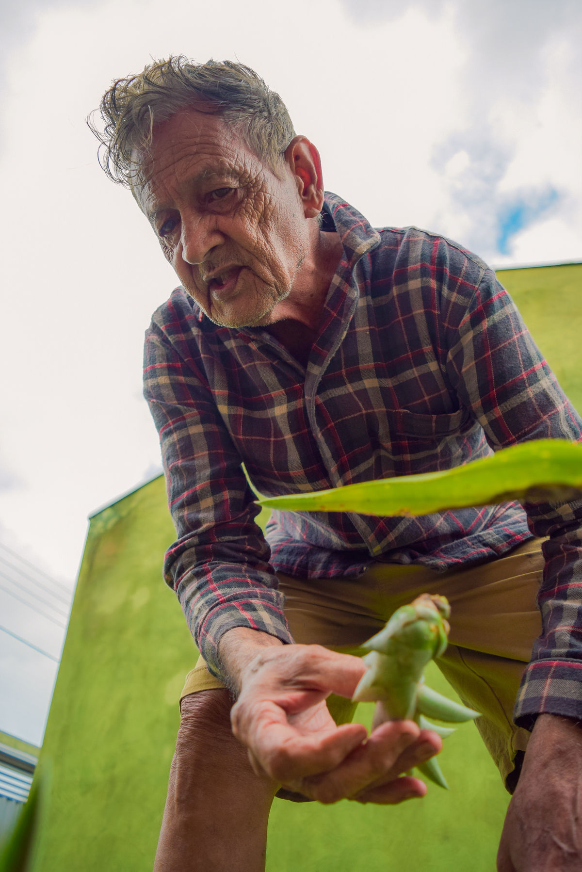 Meu Vozão João Marculino - Henrique Drobnievski