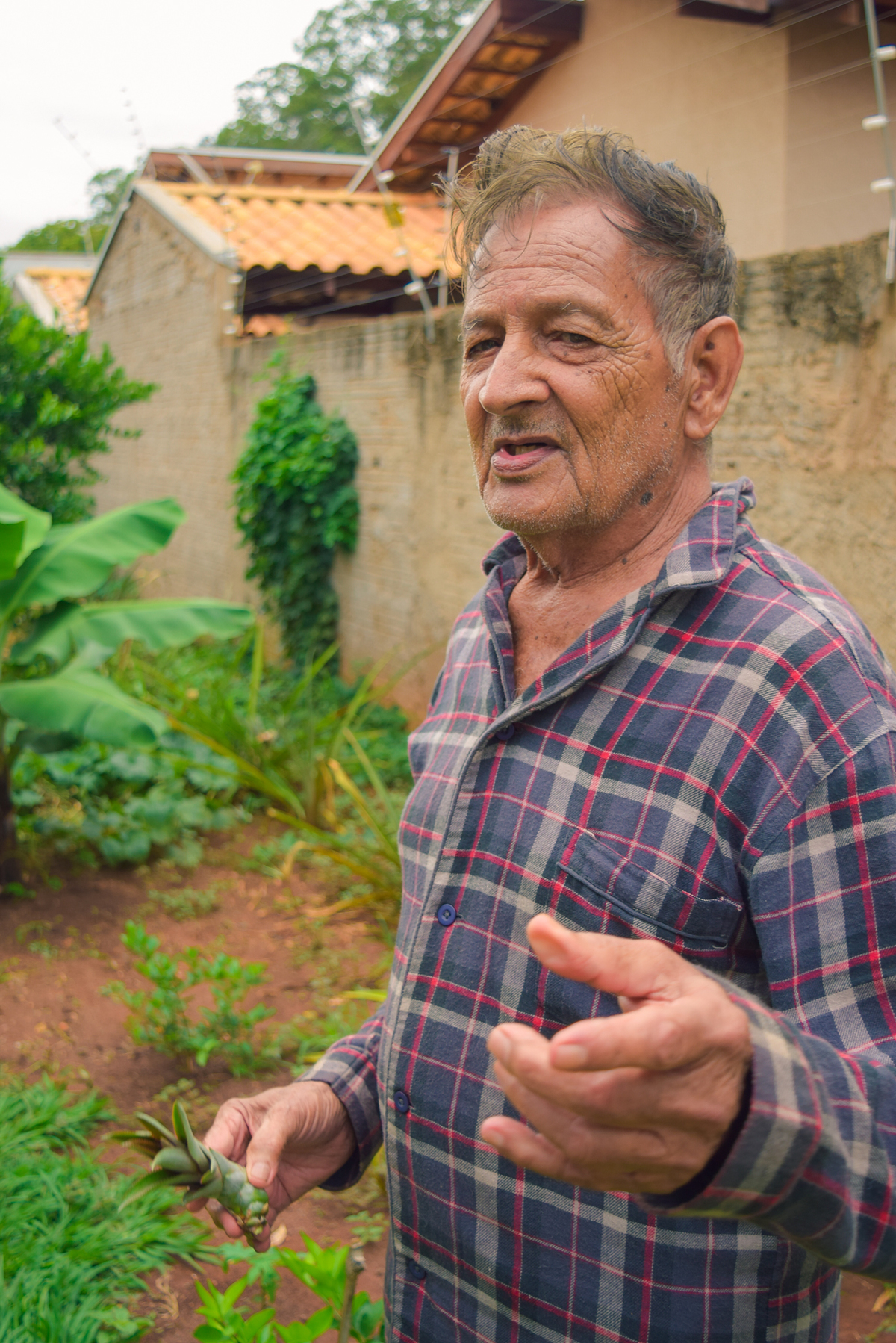 Meu Vozão João Marculino - Henrique Drobnievski