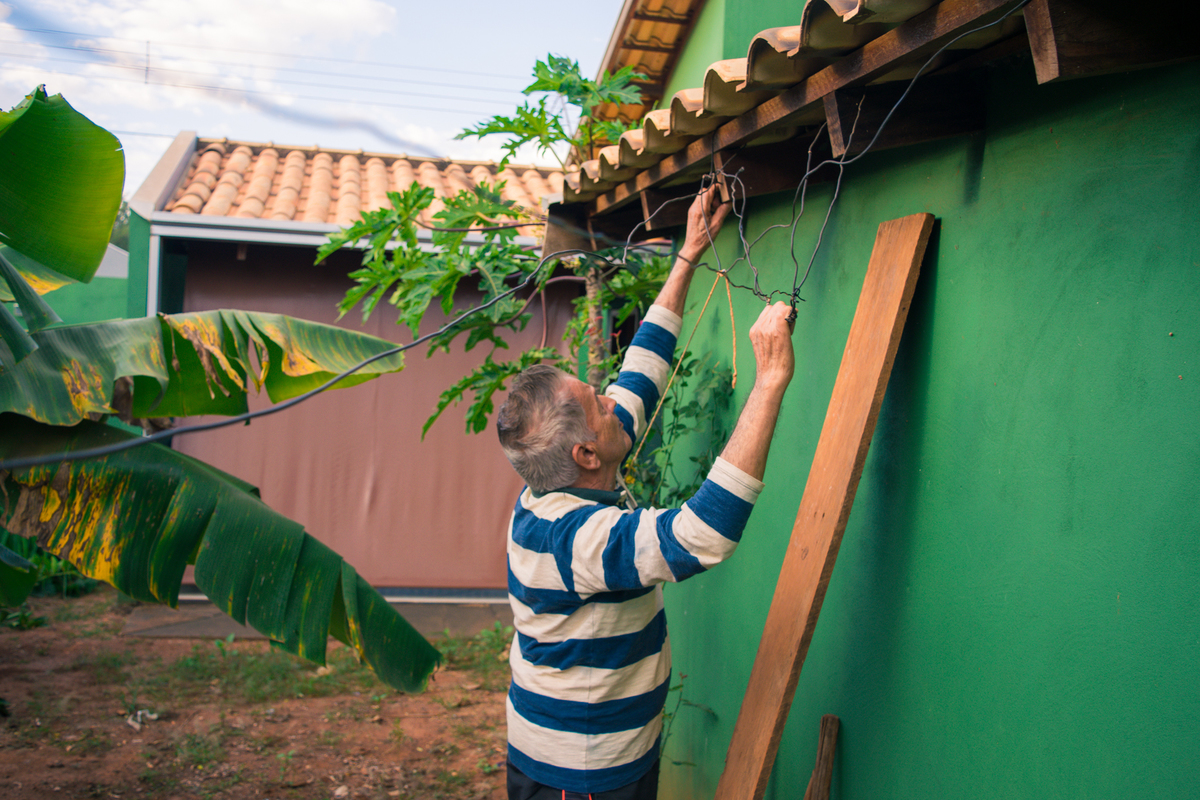 Meu Vozão João Marculino - Henrique Drobnievski
