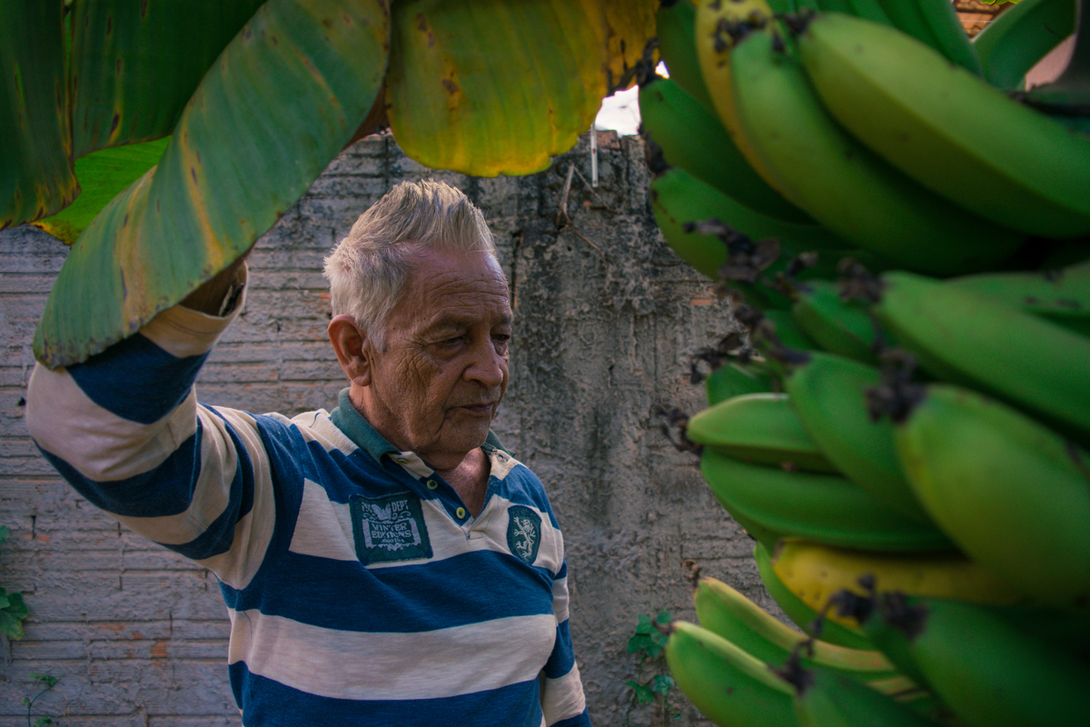 Meu Vozão João Marculino - Henrique Drobnievski