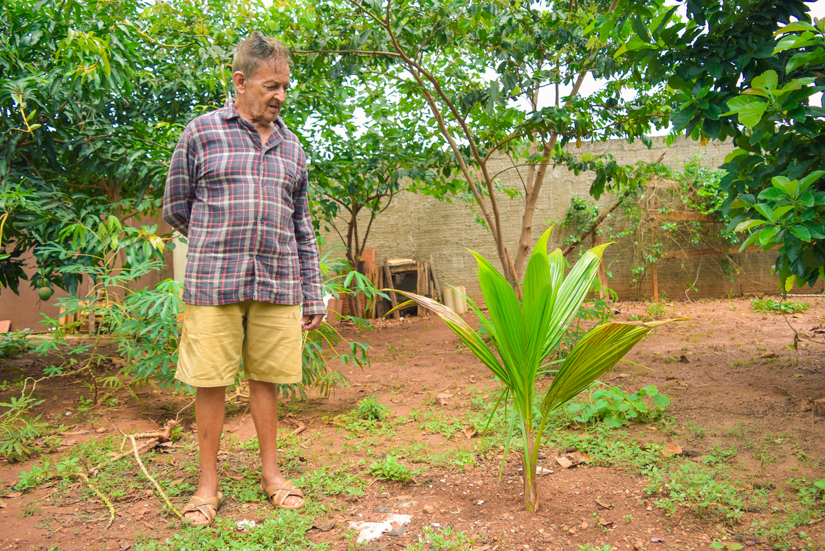 Meu Vozão João Marculino - Henrique Drobnievski