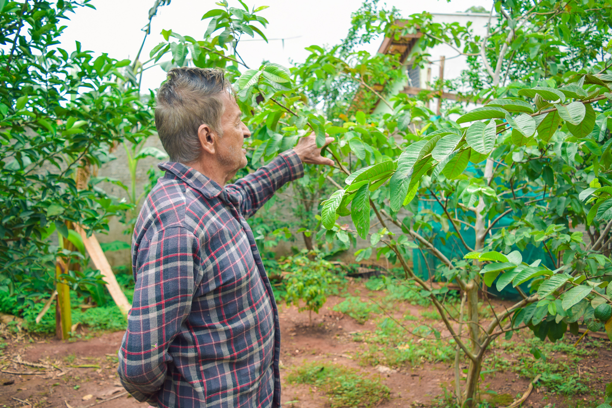 Meu Vozão João Marculino - Henrique Drobnievski