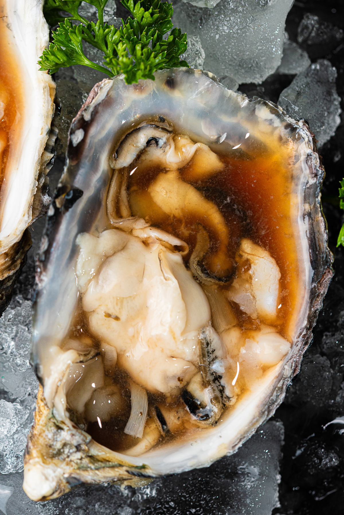 Explore a magia da fotografia de comida asiática no coração de Ribeirão Preto, com a equipe do Kay Asinan Cuisine. Nossas lentes capturam a culinária asiática. Fotografia de comida asiática no seu melhor, só com a Photo&food