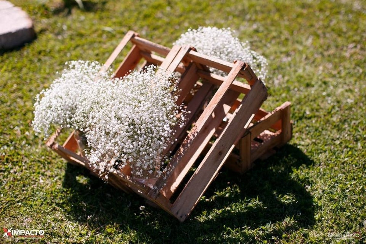 Caixas de madeira com mosquitinho