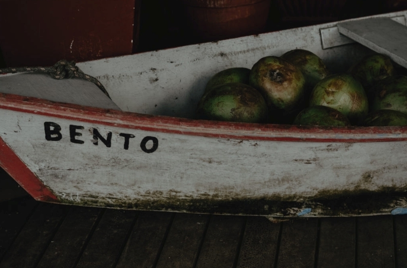 barco com cocos casamento