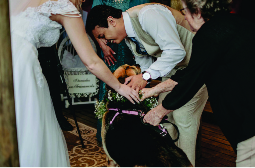 cachorro entregando alianças