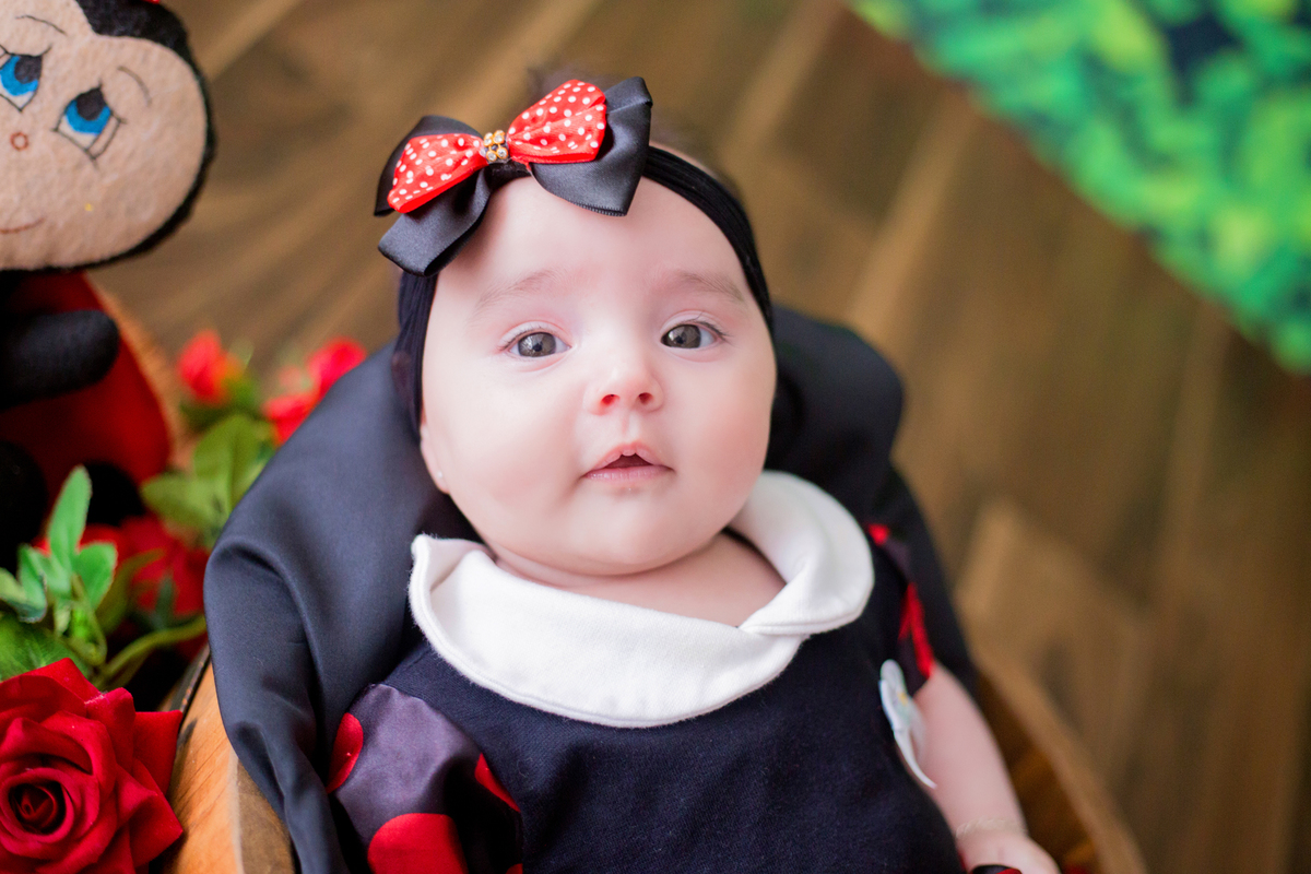 acompanhamento mensal de bebe caxias do sul figurino cenario tematico  personagem foto infantil serra gaucha fotografia familia mundo azul rosa ensaio fotografico crianca newborn baby menino menina smash the cake esmague o bolo banheira urso circo