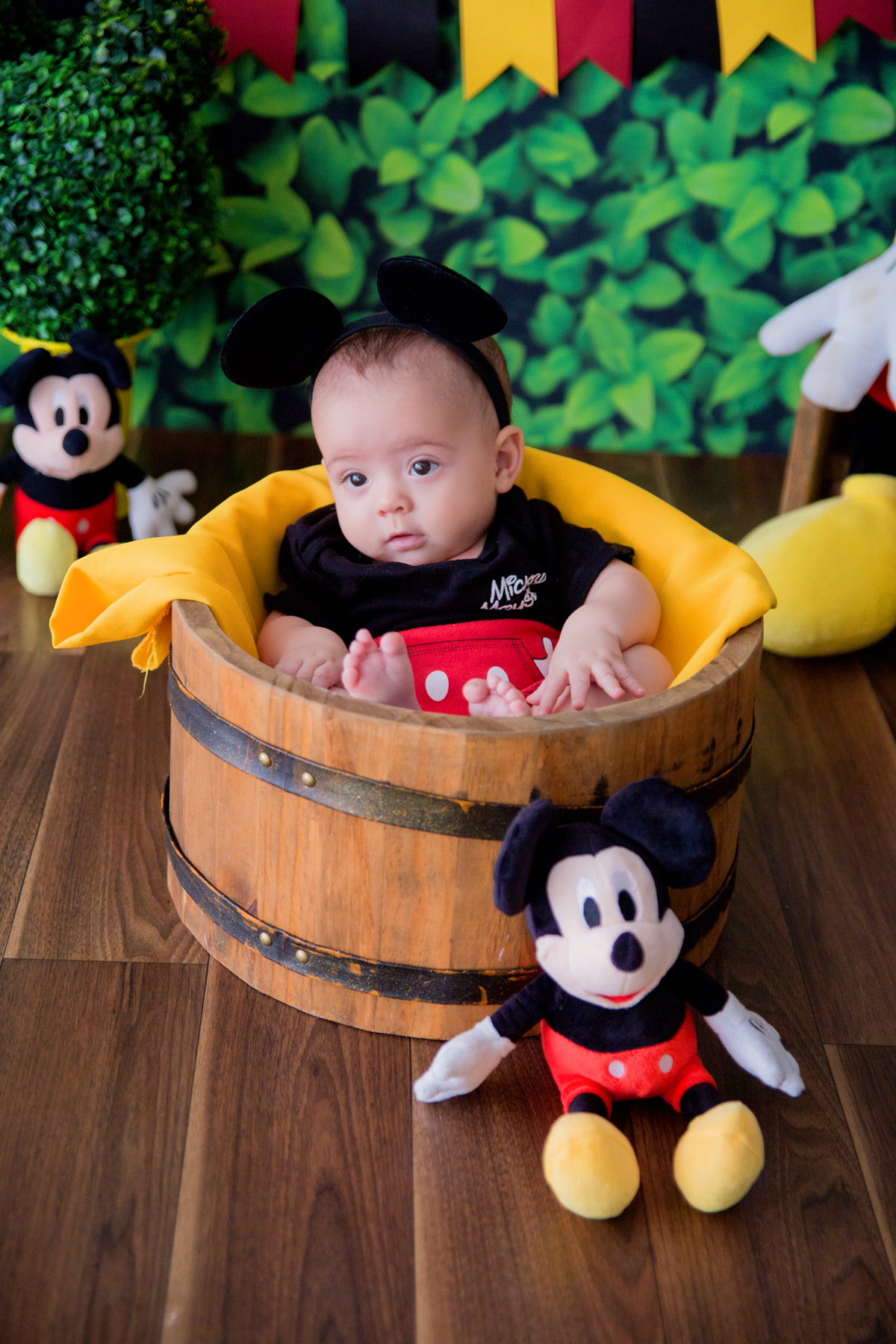 acompanhamento mensal de bebe caxias do sul figurino cenario tematico  personagem foto infantil serra gaucha fotografia familia mundo azul rosa ensaio fotografico crianca newborn baby menino menina smash the cake esmague o bolo banheira urso circo