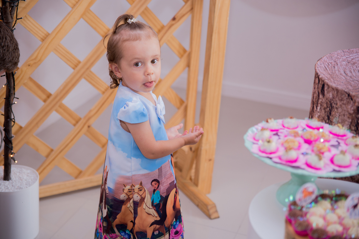 acompanhamento mensal de bebe caxias do sul figurino cenario tematico  personagem foto infantil serra gaucha fotografia familia mundo azul rosa ensaio fotografico crianca newborn baby menino menina smash the cake esmague o bolo banheira urso circo