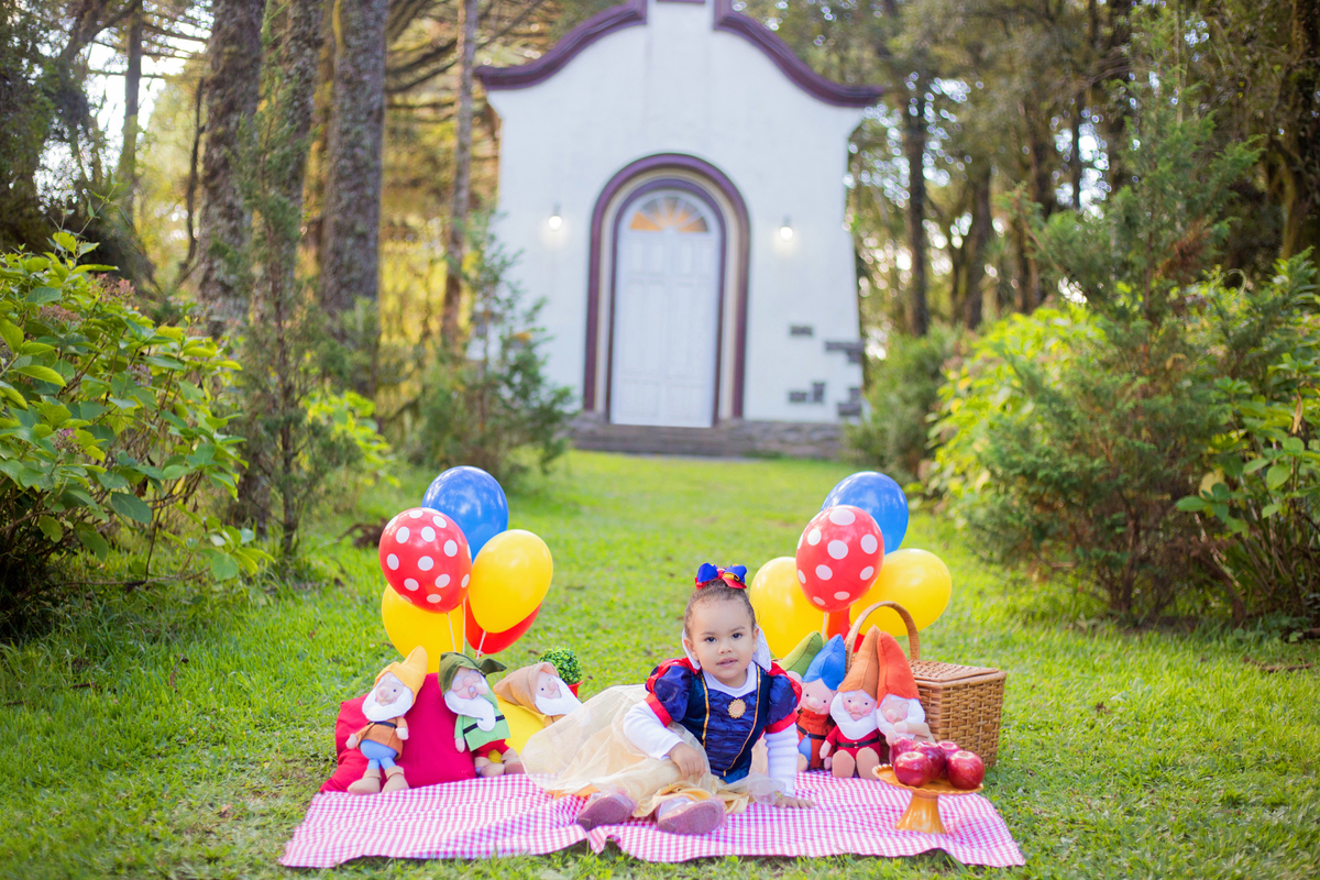 acompanhamento mensal de bebe caxias do sul figurino cenario tematico  personagem foto infantil serra gaucha fotografia familia mundo azul rosa ensaio fotografico crianca newborn baby menino menina smash the cake esmague o bolo banheira urso circo