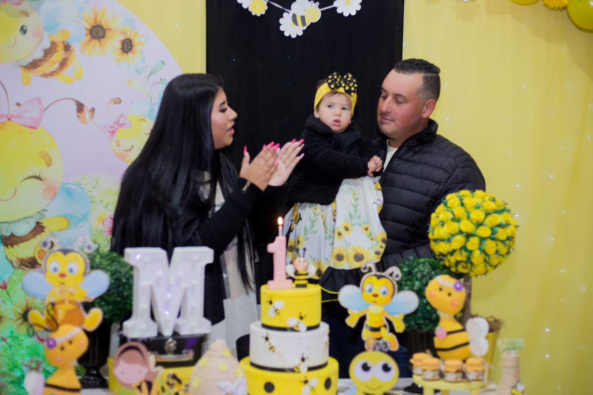 acompanhamento mensal de bebe caxias do sul figurino cenario tematico  personagem foto infantil serra gaucha fotografia familia mundo azul rosa ensaio fotografico crianca newborn baby menino menina smash the cake esmague o bolo banheira urso circo