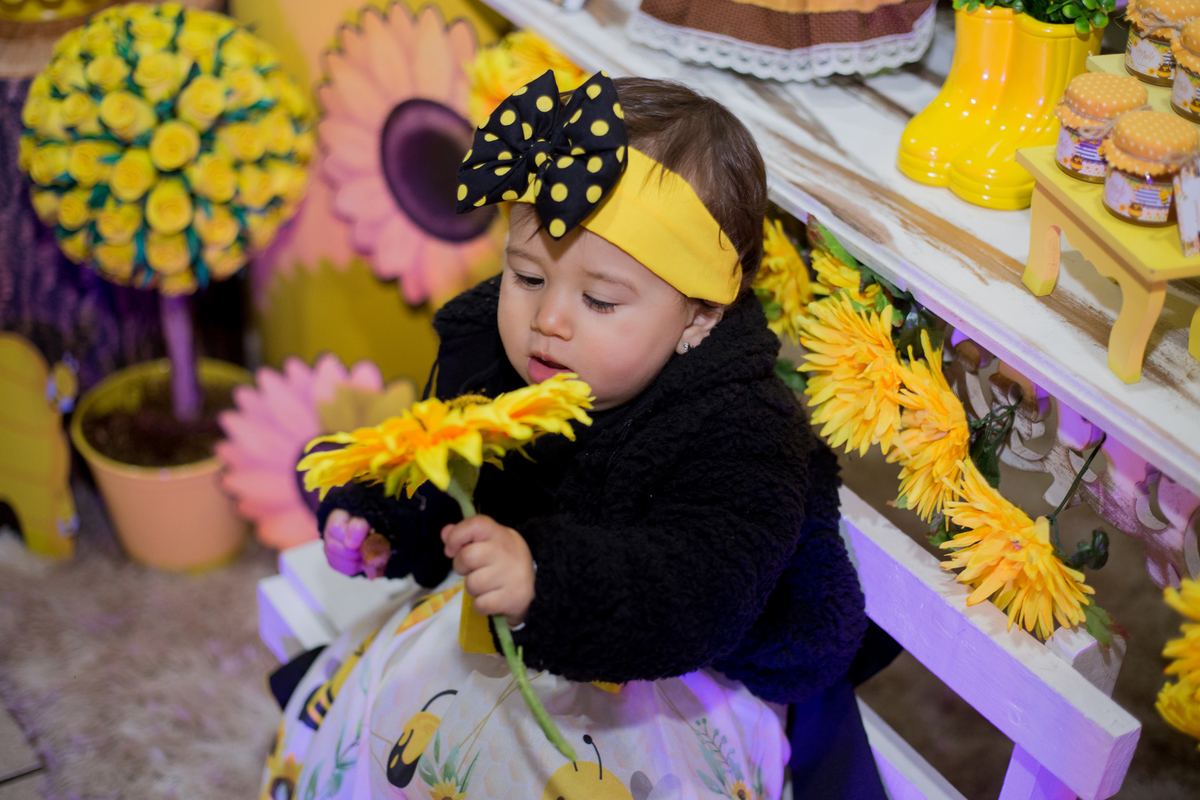 acompanhamento mensal de bebe caxias do sul figurino cenario tematico  personagem foto infantil serra gaucha fotografia familia mundo azul rosa ensaio fotografico crianca newborn baby menino menina smash the cake esmague o bolo banheira urso circo