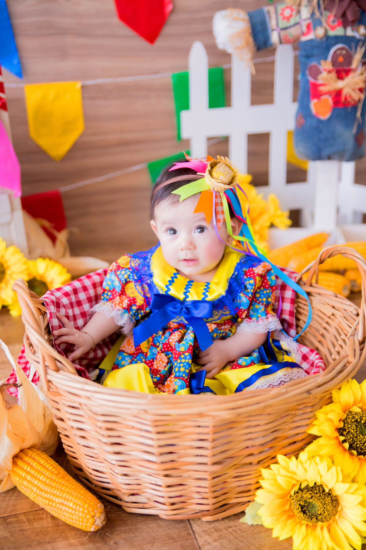 acompanhamento mensal de bebe caxias do sul figurino cenario tematico  personagem foto infantil serra gaucha fotografia familia mundo azul rosa ensaio fotografico crianca newborn baby menino menina smash the cake esmague o bolo banheira urso circo