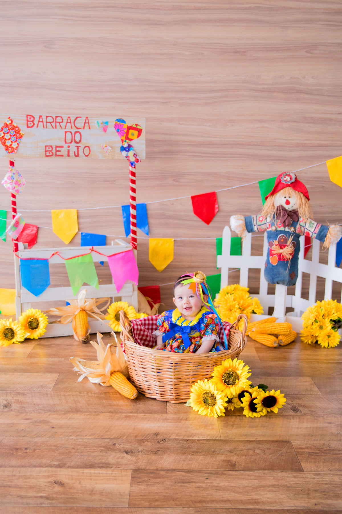 acompanhamento mensal de bebe caxias do sul figurino cenario tematico  personagem foto infantil serra gaucha fotografia familia mundo azul rosa ensaio fotografico crianca newborn baby menino menina smash the cake esmague o bolo banheira urso circo