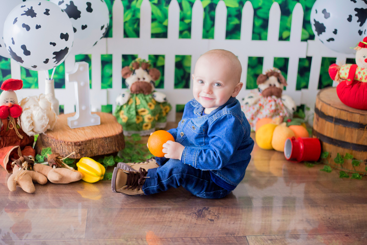 acompanhamento mensal de bebe caxias do sul figurino cenario tematico  personagem foto infantil serra gaucha fotografia familia mundo azul rosa ensaio fotografico crianca newborn baby menino menina smash the cake esmague o bolo banheira urso circo