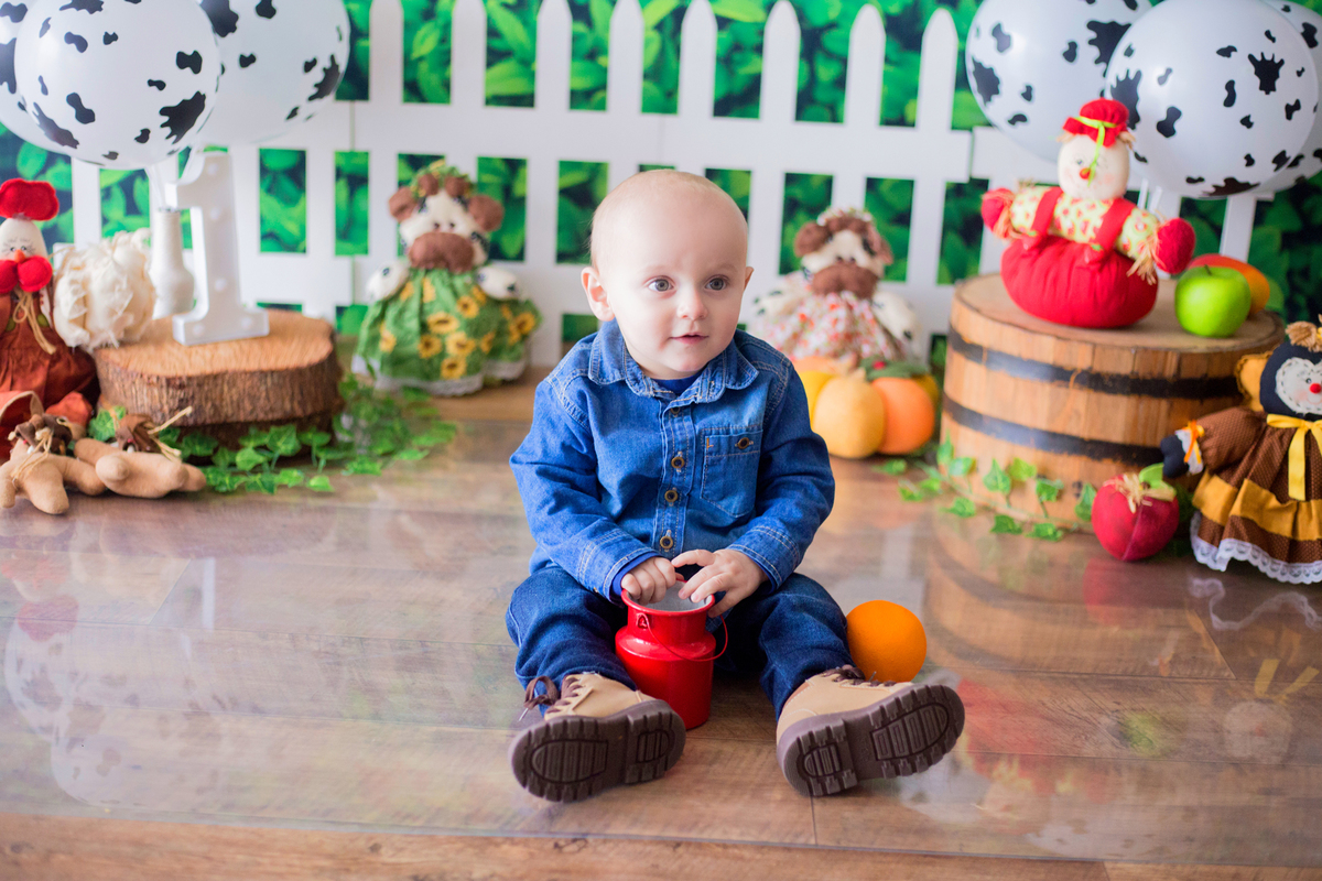 acompanhamento mensal de bebe caxias do sul figurino cenario tematico  personagem foto infantil serra gaucha fotografia familia mundo azul rosa ensaio fotografico crianca newborn baby menino menina smash the cake esmague o bolo banheira urso circo